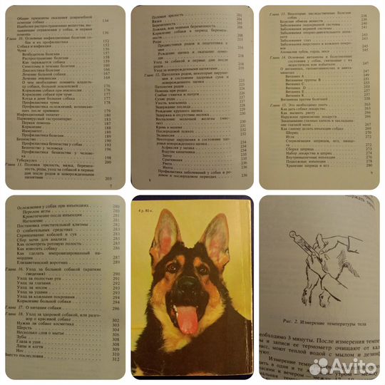 Досуг хобби рукоделие творчество взрослых и детей