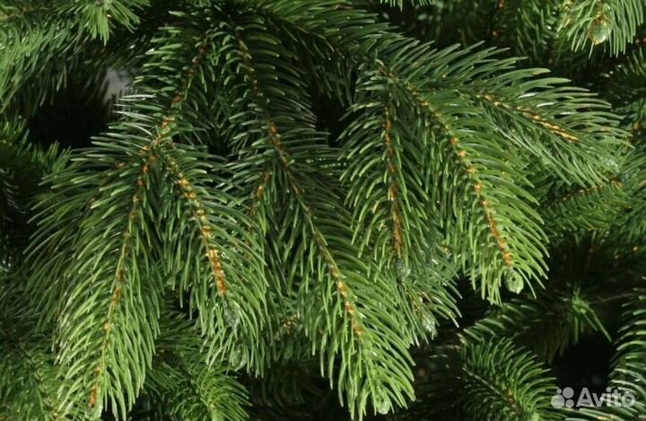 Новогодняя ель литая 2,1 м, premium