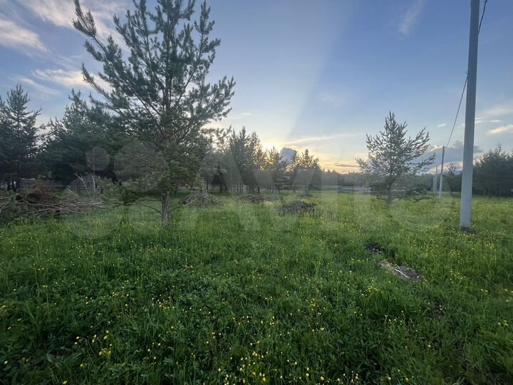 Участок 10 сот. (ИЖС)