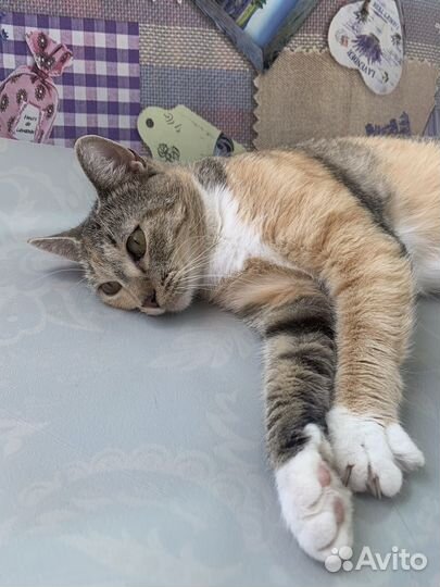 Устала ждать