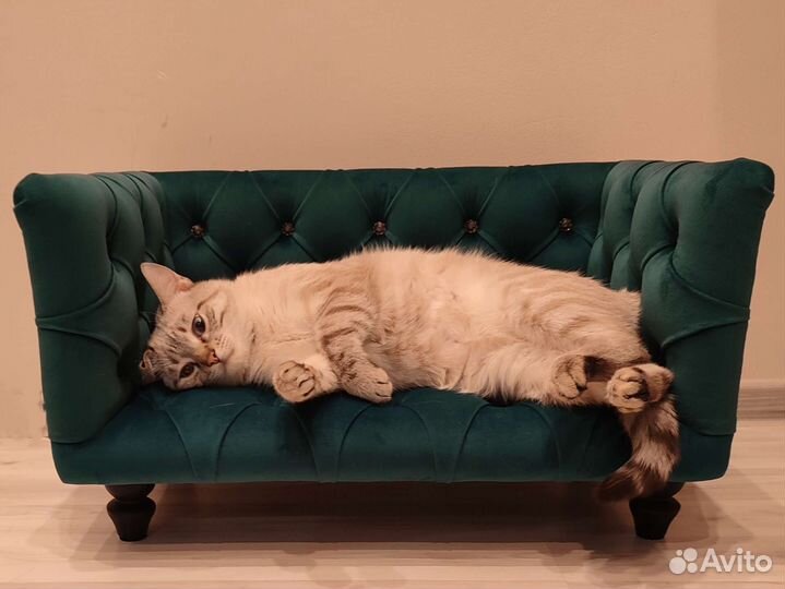 Диван-лежанка для животных