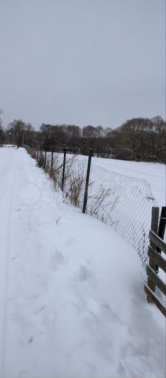 Участок 30 сот. (ИЖС)