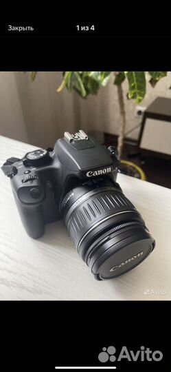 Зеркальный фотоаппарат canon eos 1000d