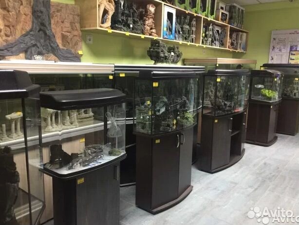 Аквариумы в Белой Акуле