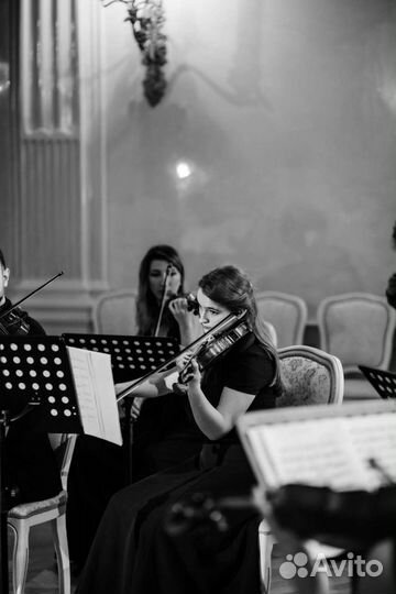 Репетитор по скрипке