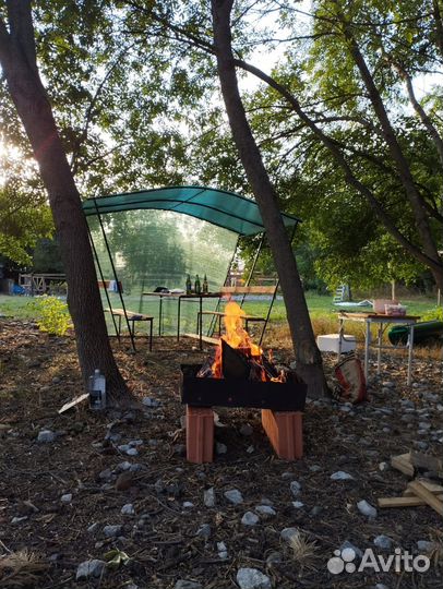 Конные прогулки на лошадях