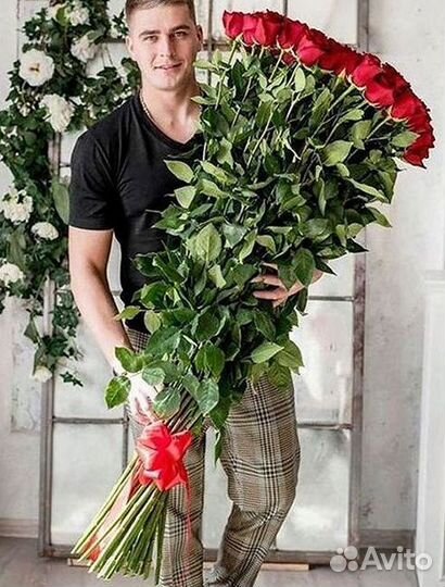 101 роза цветы букеты доставка 25 51 101 роза