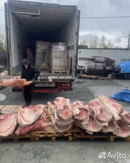 Мясо оптом. Свинина,говядина,баранина. Забайкалье