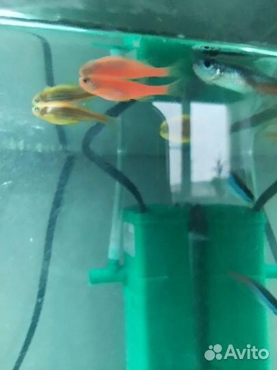 Аквариум 17литров
