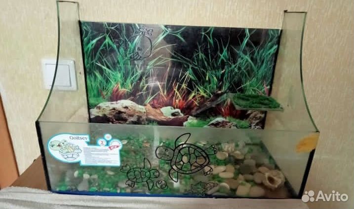 Террариум для черепахи