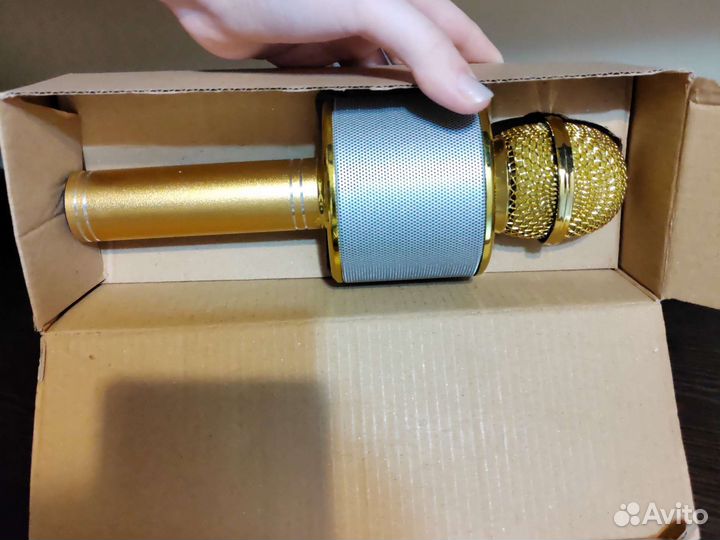 Колонка-микрофон