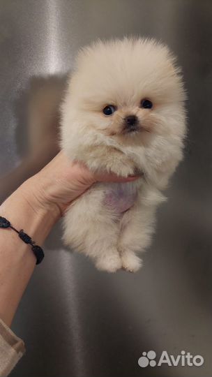 Облачко Девочка