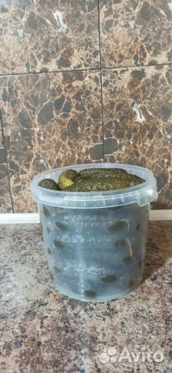 Огурцы соленые бочковые