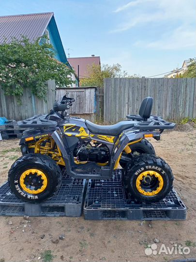 Квадроцикл motoland wild trak X