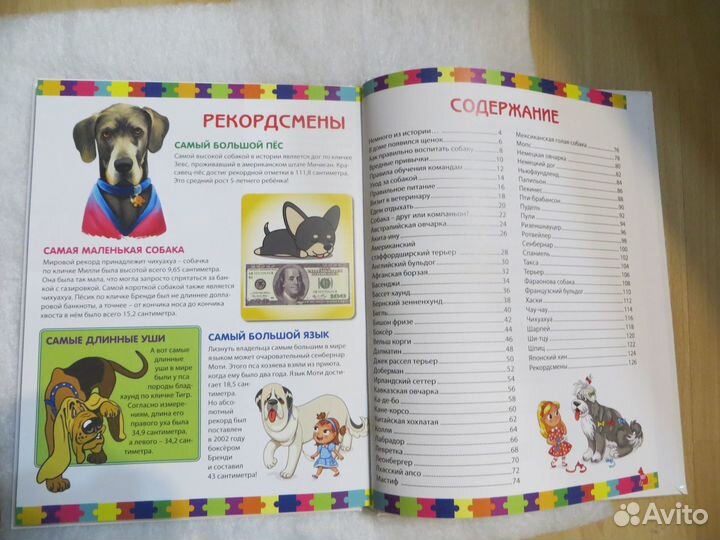 Книга. Скиба. Собаки. Детская энциклопедия