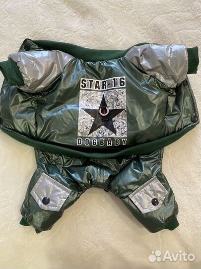 Одежда для собак мелких пород