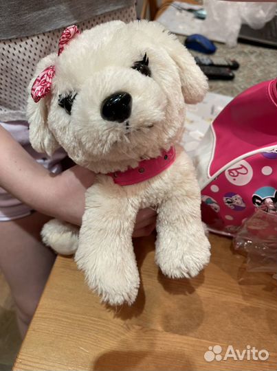 Собака в сумке Barbie