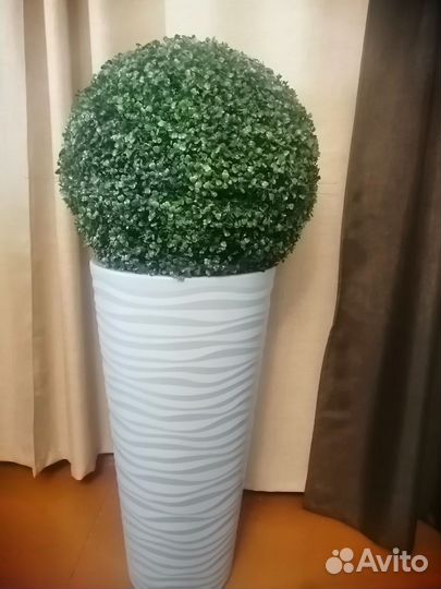 Самшитовый шар диаметр 58 см