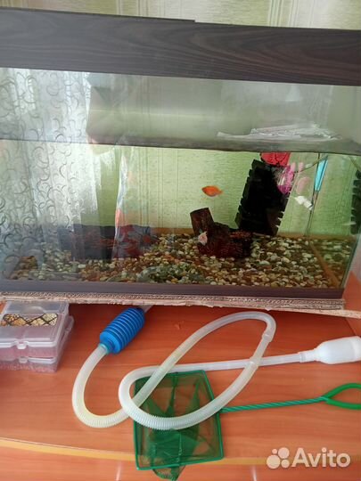 Аквариум с рыбками