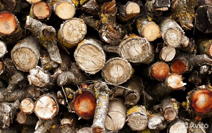 Дрова в баню на дачу