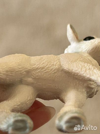 Лошади шляйх