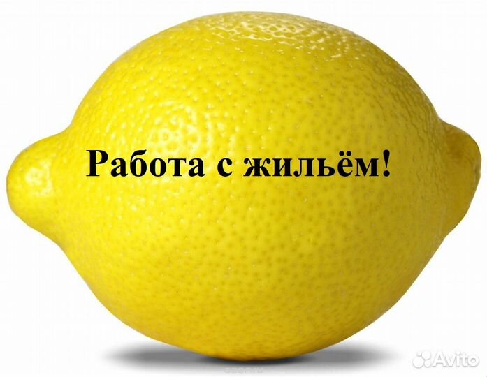 Комплектовщик без опыта с жильём вахтой РФ и снг