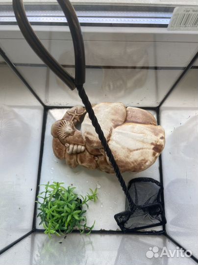 Аквариум aquael,10 л