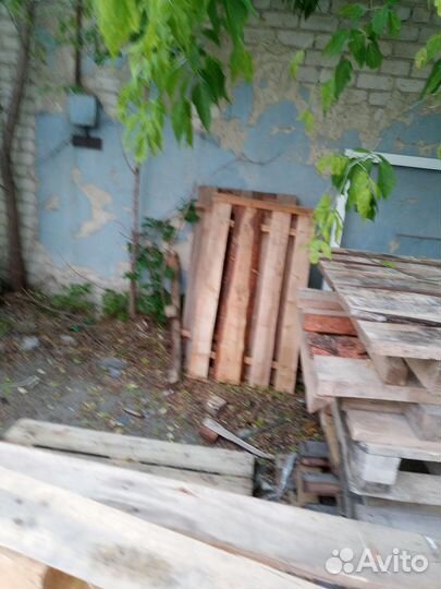 Поддоны