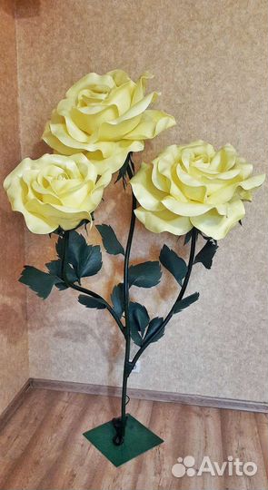 Цветы т о р ш е р