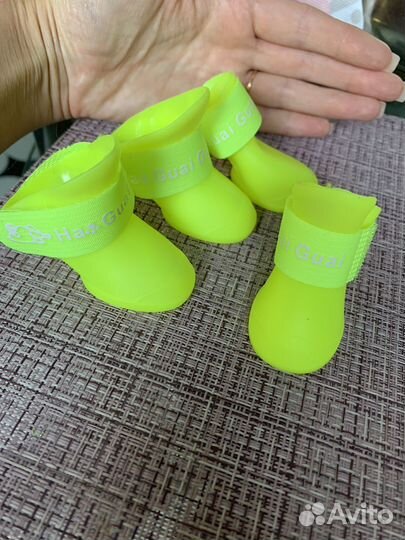 Ботинки для собак