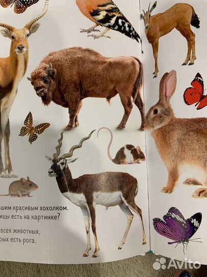 Книги детские Clever