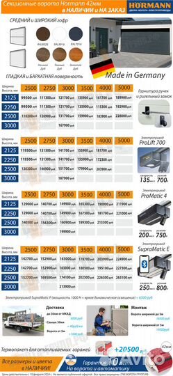 Секционные ворота Херманн 3000х2500 с приводом