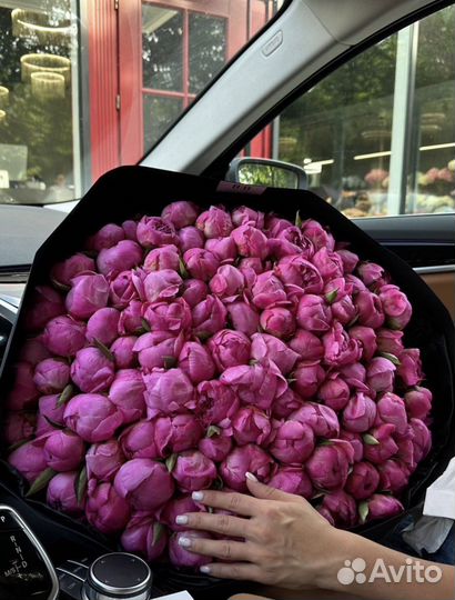 Букеты Пионов Цветы с Доставкой