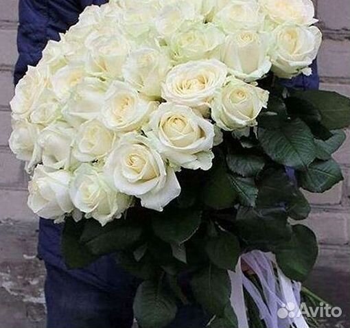 Розы высокие 150 160 170 180 190 200см