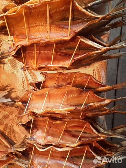 Рыбка байкальская(Омуль, Хариус, Сиг)