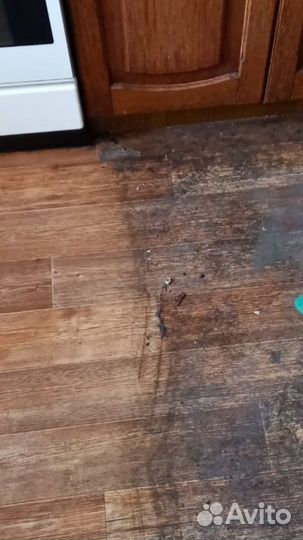 Клининг без посредников