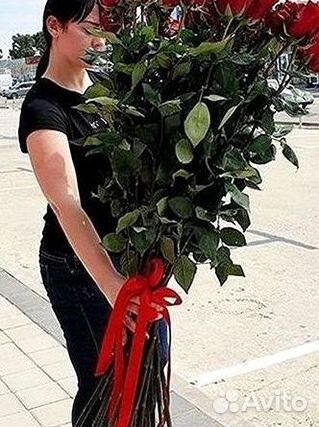 Высокие розы Гигантские розы с доставкой