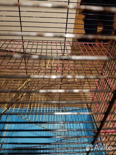 Клетка металлическая для любых животныж