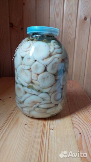 Белые грузди