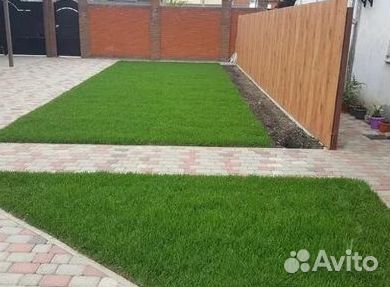 Рулонный газонУкладка Рулонного газонаГазон от про