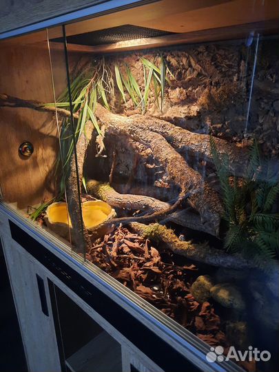 Террариумы на заказ