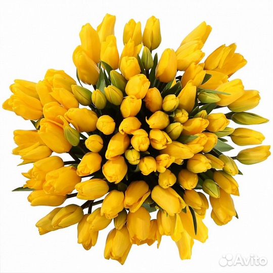 Букет 101 тюльпан желтый, цветы доставка