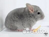 Подарок ребенку к дню рождения и не только