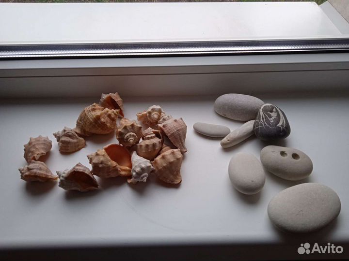Камешки и ракушки натуральные