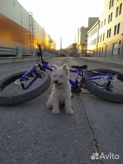 Велосипед фетбайк