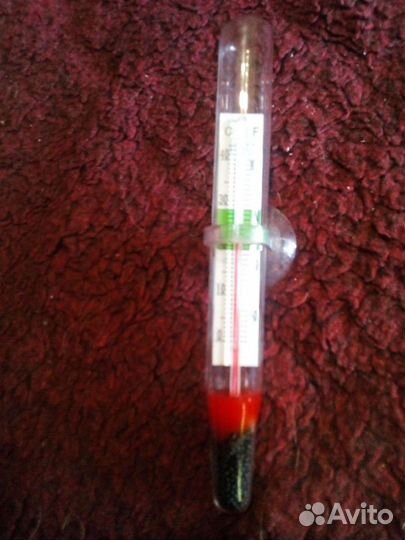 Термометр для аквариума