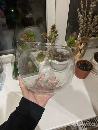 Аквариум круглый 3 л