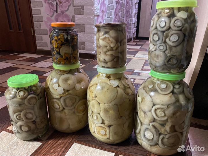 Грибы белый груздь и т.д