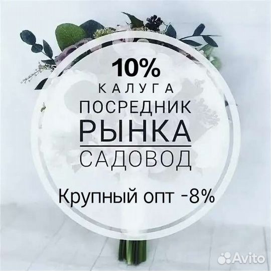 Консультация