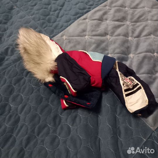 Костюм зимний для щенка